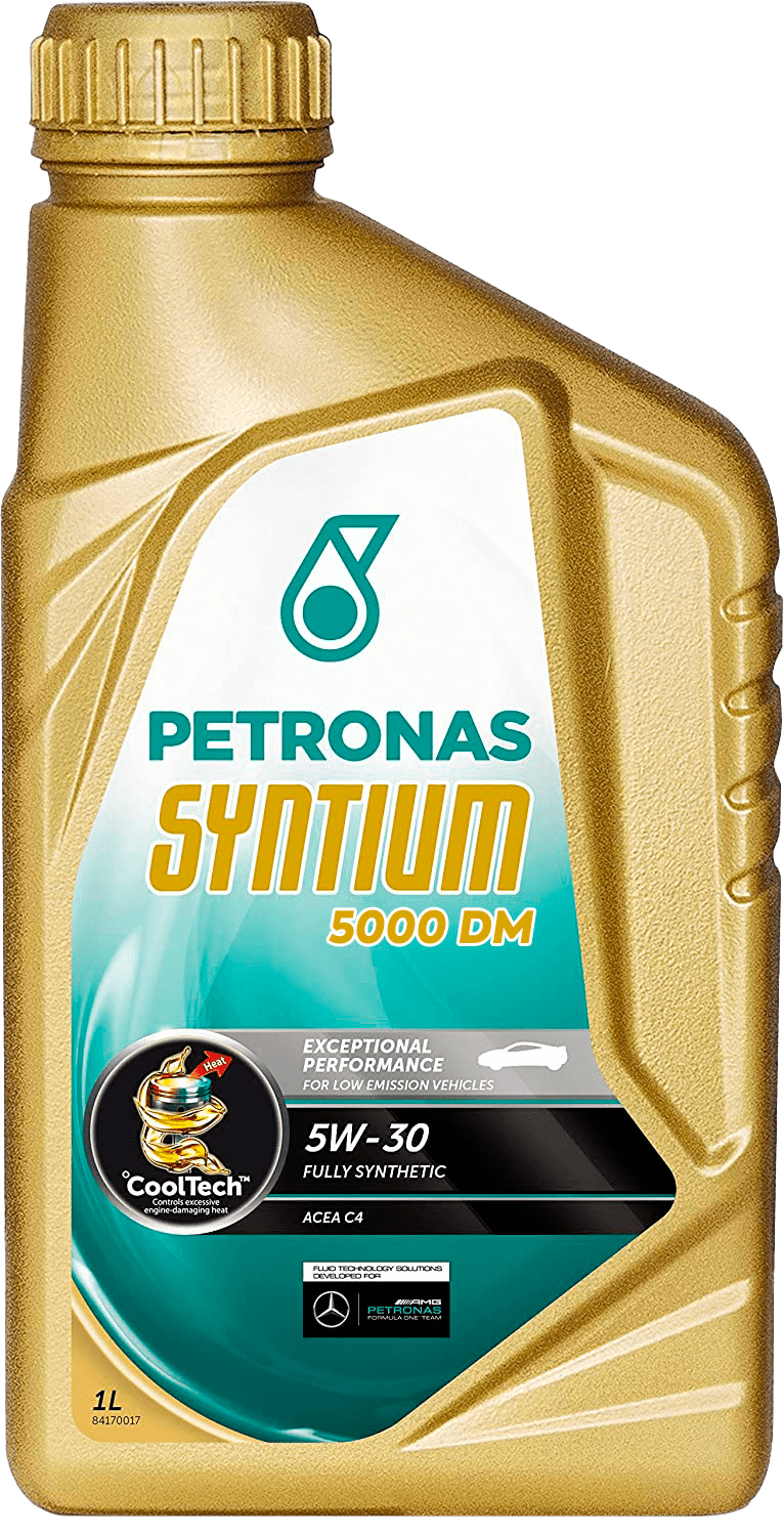 Моторное масло SYNTIUM 5000 DM 5W-30, 1л